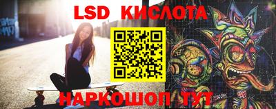 гидра Кандалакша